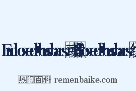 Enclosed+busbars或者Closed+busbars组词是什么意思的图片